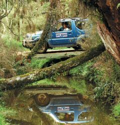 Off Road Adventures - 4WD Bush Safari